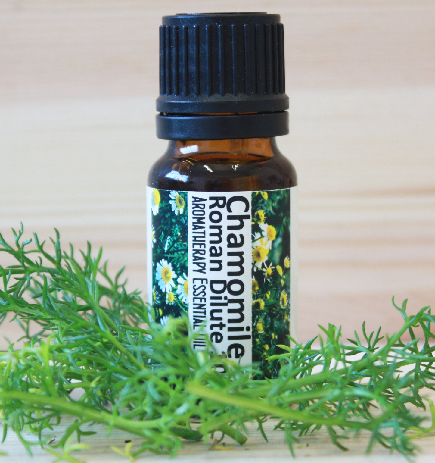 Chamomile Roman (10%) Dilute Essential Oil