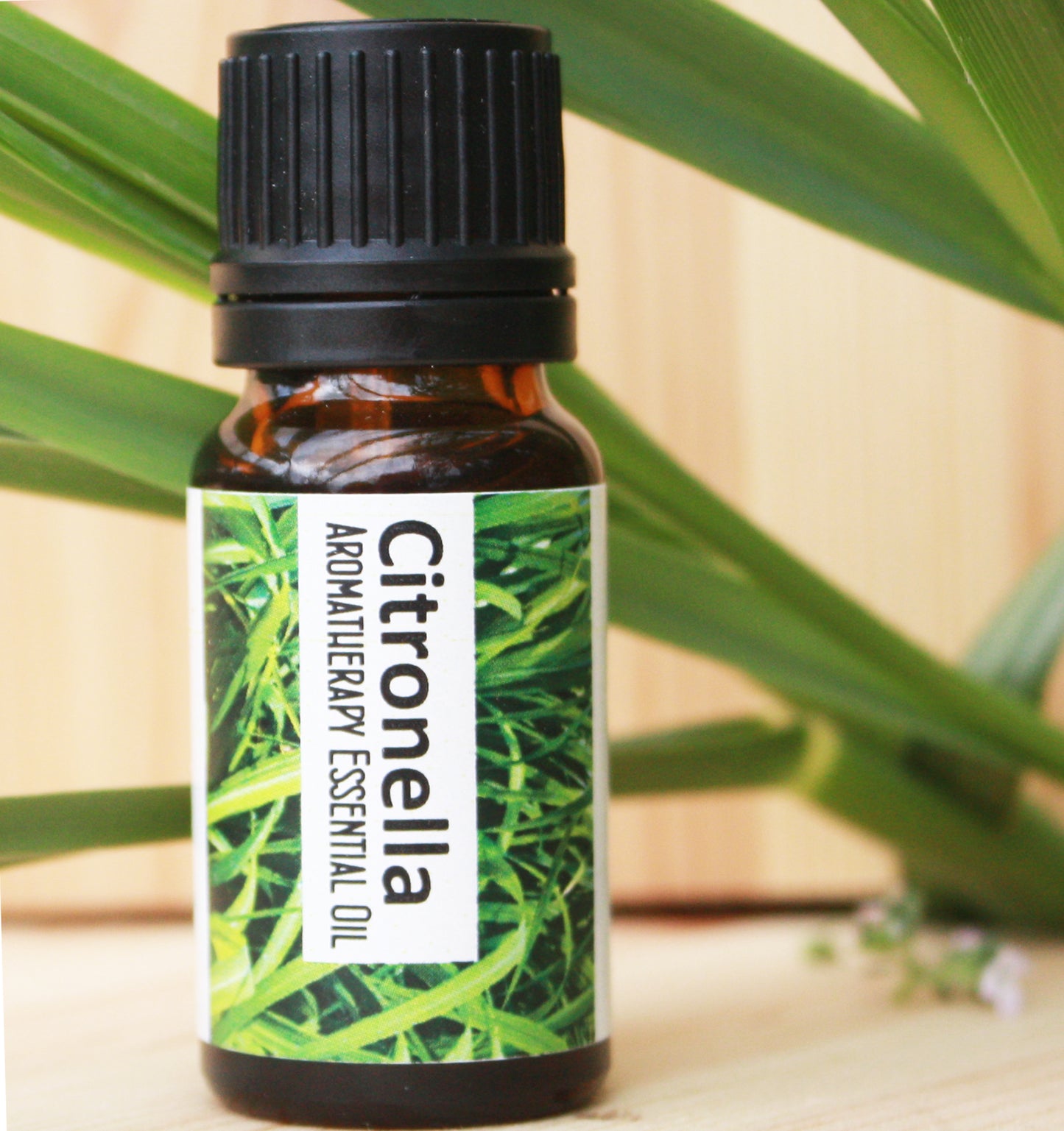 Citronella Essential Oil