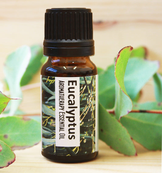 Eucalyptus Essential Oil
