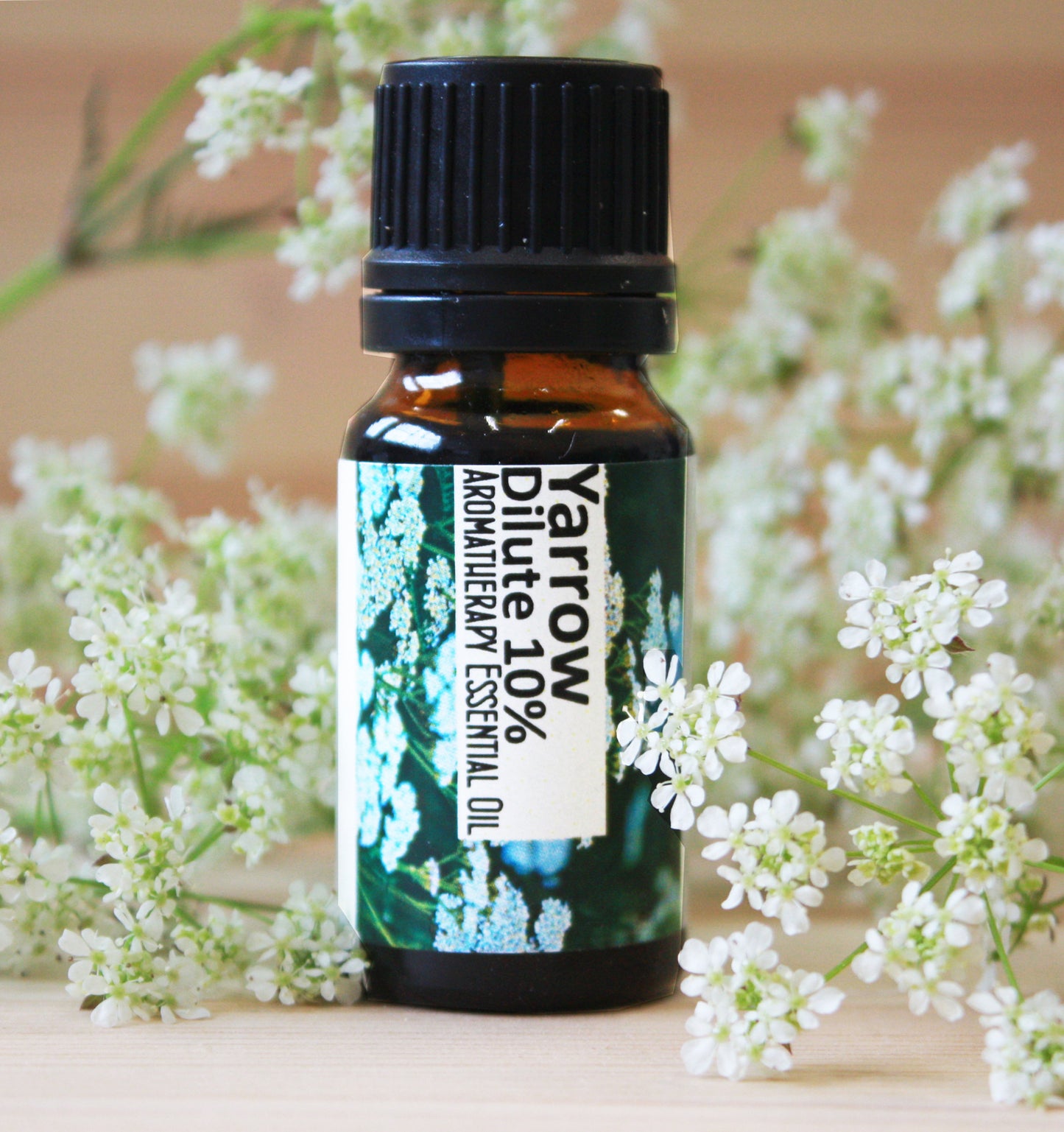 Yarrow Dilute (10%) Essential Oil
