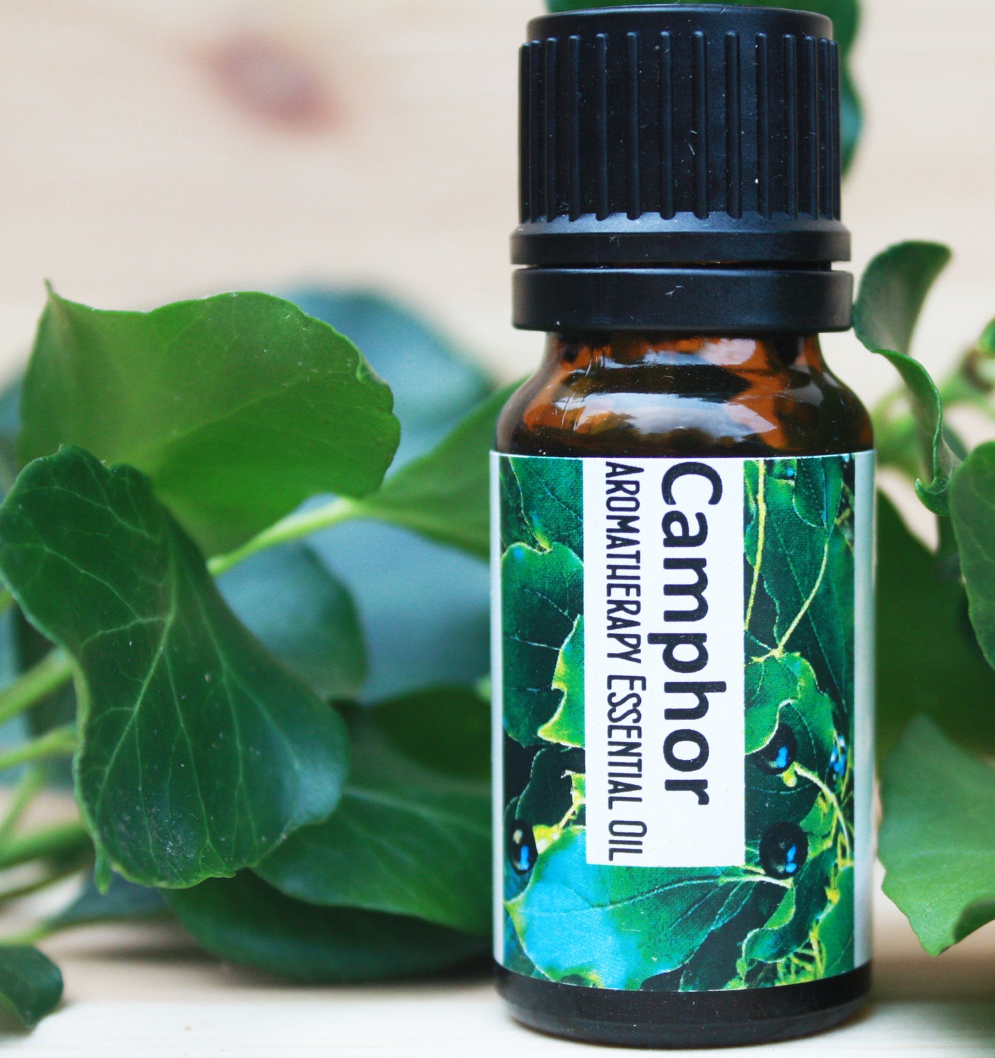 Camphor Essential Oil