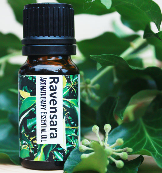 Ravensara Essential Oil