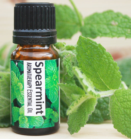 Spearmint Essential Oil