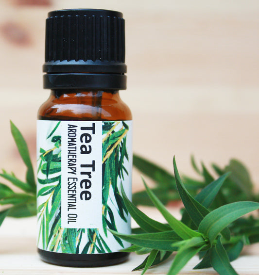 Tea Tree Essential Oil